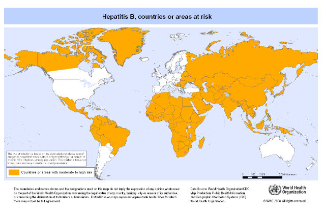 Hepatitis B Risk Map
